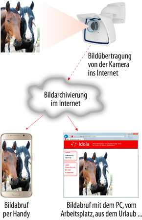 Das Idola-Prinzip: Bildübertragung von der Kamera ins Internet - Bildspeicherung im Internet auf dem Idola-Server - Bildabruf per Browser oder Handy